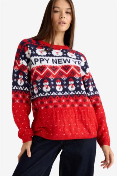 Regular Fit Crew Neck Color Block Christmas Pullover