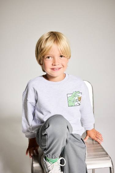 Sweatshirt imprimé dinosaure à col rond pour bébé garçon