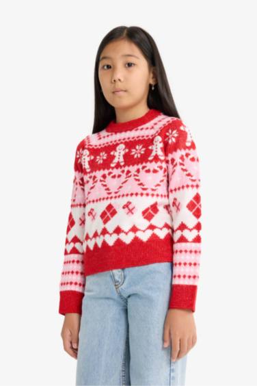 Girl Regular Fit Crew Neck Christmas Pullover