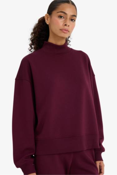 Relax Fit Stand Collar Sweatshirt