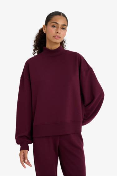 Relax Fit Stand Collar Sweatshirt