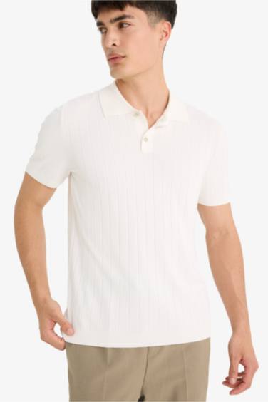 Standard Fit Short Sleeve Knitwear Polo T-Shirt