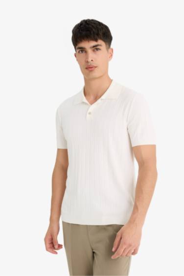 Standard Fit Short Sleeve Knitwear Polo T-Shirt