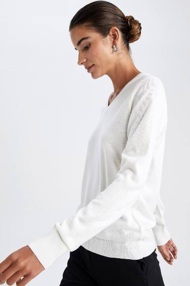 Regular Fit V-Neck Pullover