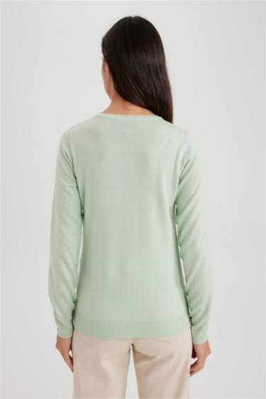 Regular Fit Crew Neck Pullover