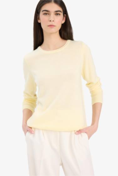 Regular Fit Crew Neck Knitwear Pullover