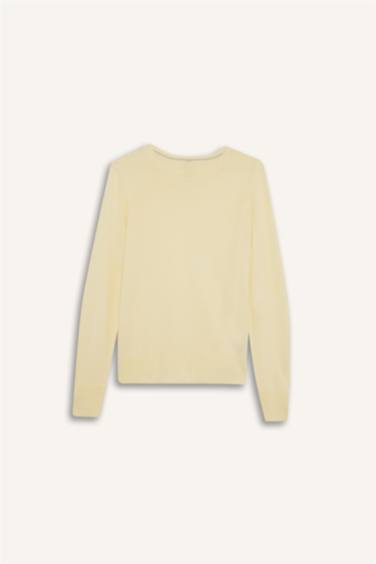 Regular Fit Crew Neck Knitwear Pullover
