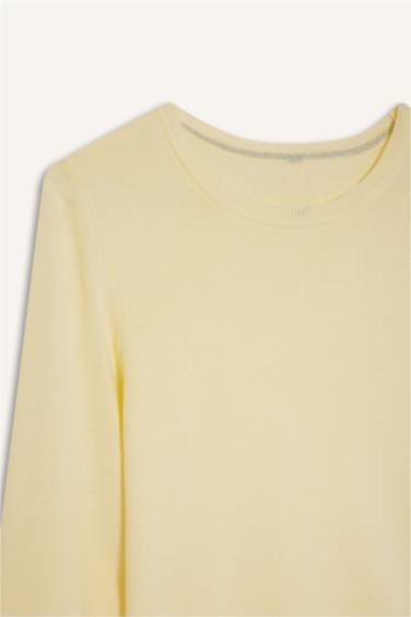 Regular Fit Crew Neck Knitwear Pullover