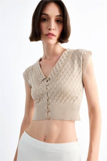 Large Collar Knit Crop Top