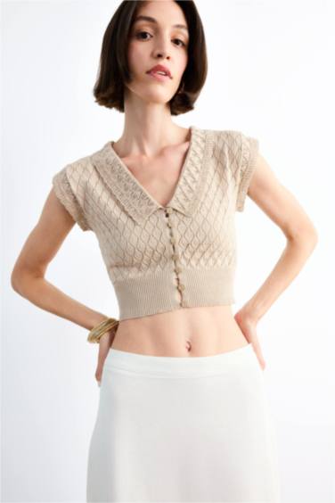 Large Collar Knit Crop Top