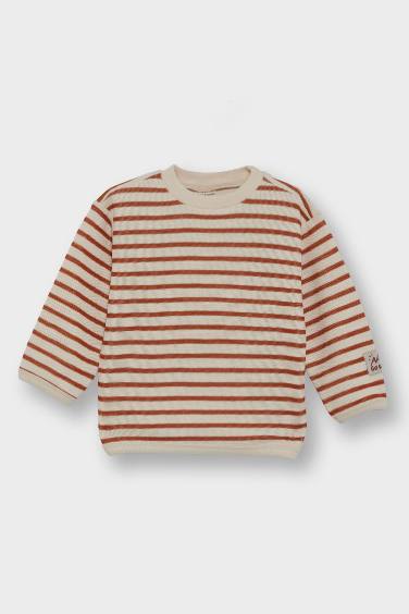 Baby Boy Crew Neck Striped Sweatshirt