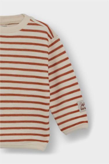 Baby Boy Crew Neck Striped Sweatshirt