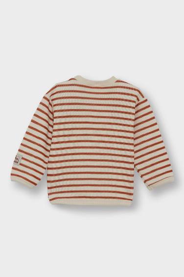 Baby Boy Crew Neck Striped Sweatshirt
