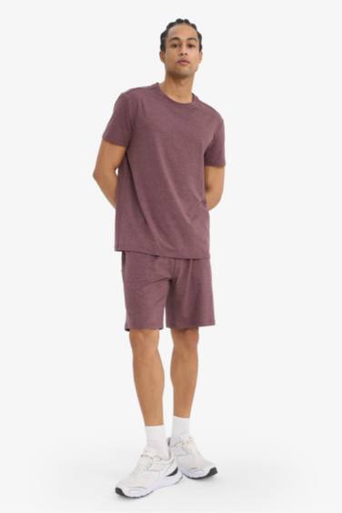 Standard Fit Sports Shorts