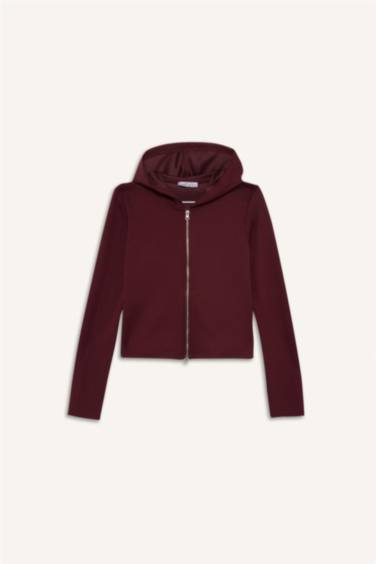 Slim Fit Hooded Modal Zippered Sweatshirt