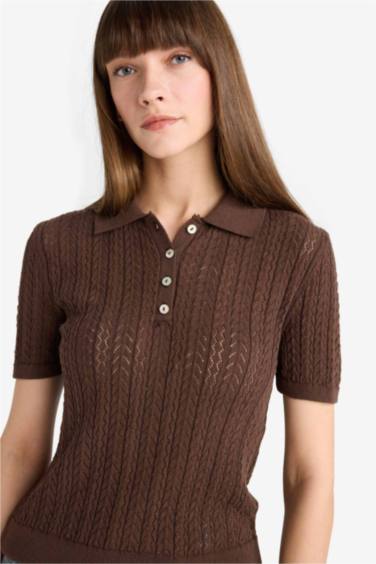 Regular Fit Polo Collar Knitwear Pullover