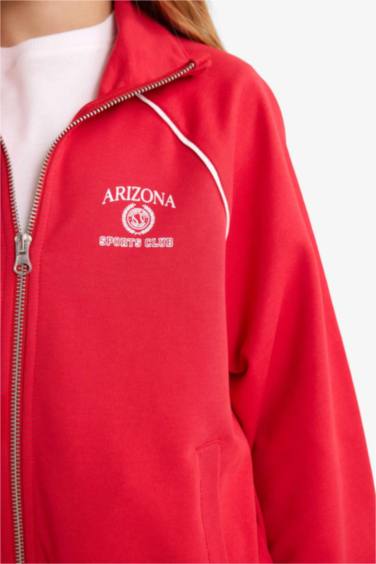 Girl Sweatshirt Fabric 2 Piece Set