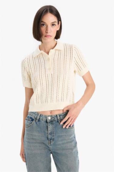 Regular Fit Polo Collar Knitwear Pullover