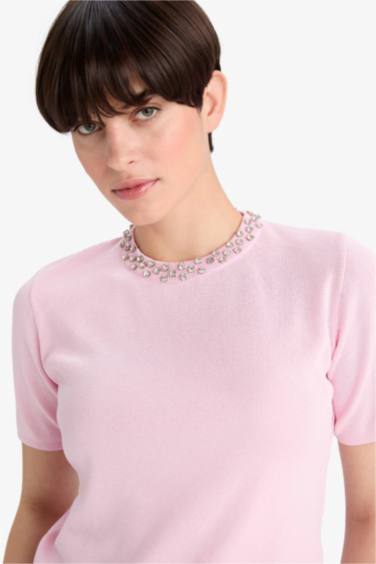 Regular Fit Crew Neck Embroidered Knitwear Pullover