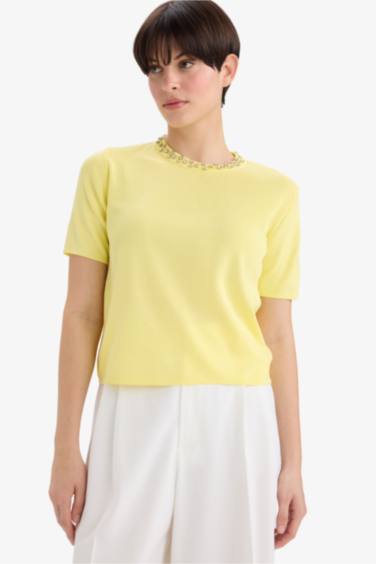 Regular Fit Crew Neck Embroidered Knitwear Pullover