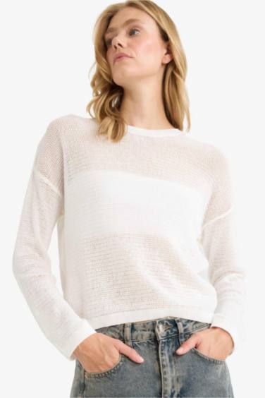 Regular Fit Crew Neck Knitwear Pullover