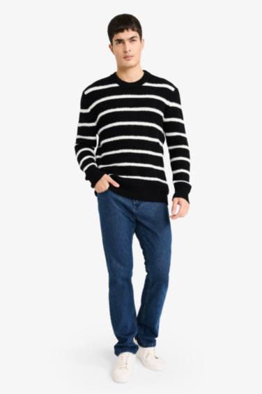 Standard Fit Crew Neck Knit Striped Pullover