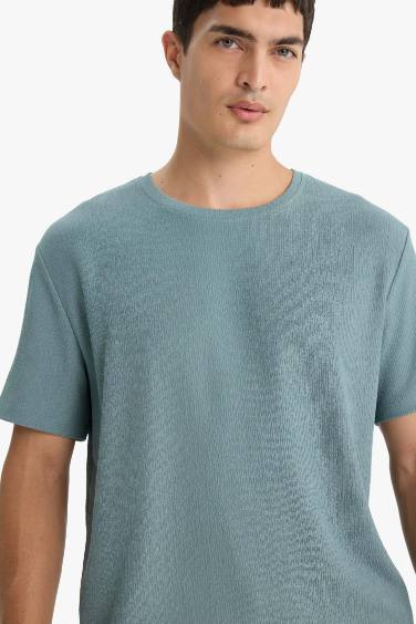 Regular Fit Bisiklet Yaka Dokulu Kısa Kollu Tişört