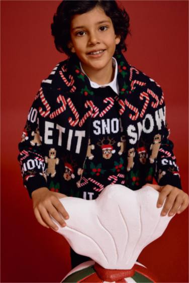 Boy Regular Fit Crew Neck Pullover