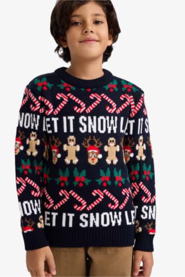 Boy Regular Fit Crew Neck Pullover