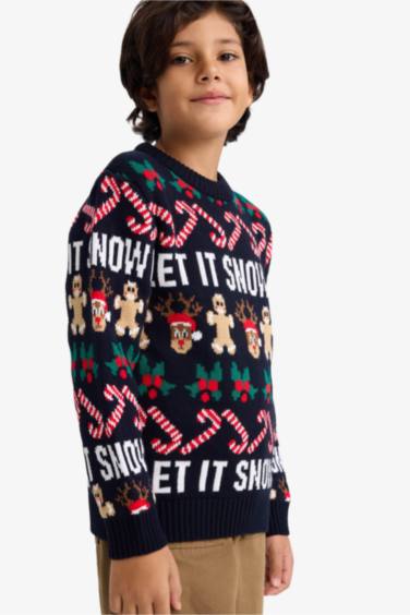 Boy Regular Fit Crew Neck Pullover