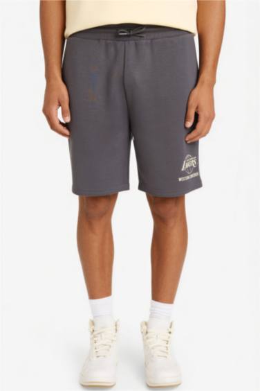 Шорты NBA Los Angeles Lakers Standart Fit
