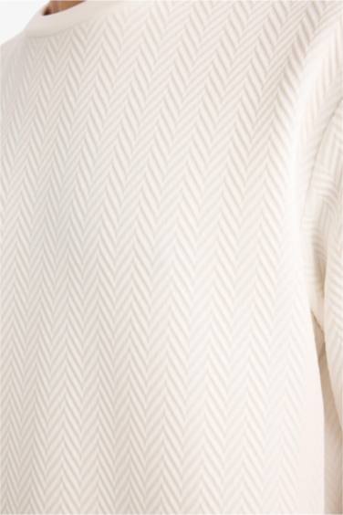 Regular Fit Long Sleeve Sweatshirt