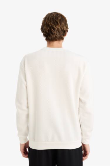 Regular Fıt Sweatshirt - Görsel 5