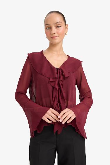 Regular Fit V-Neck Chiffon Long Sleeve Blouse