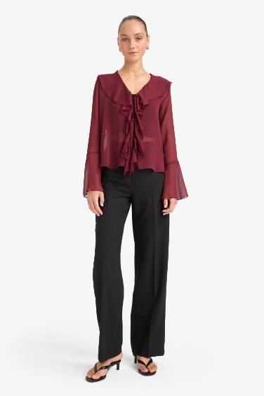 Regular Fit V-Neck Chiffon Long Sleeve Blouse