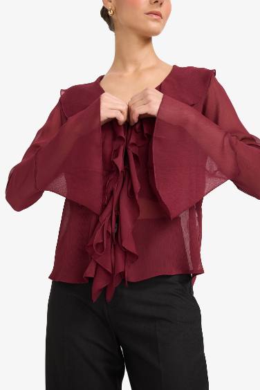 Regular Fit V-Neck Chiffon Long Sleeve Blouse