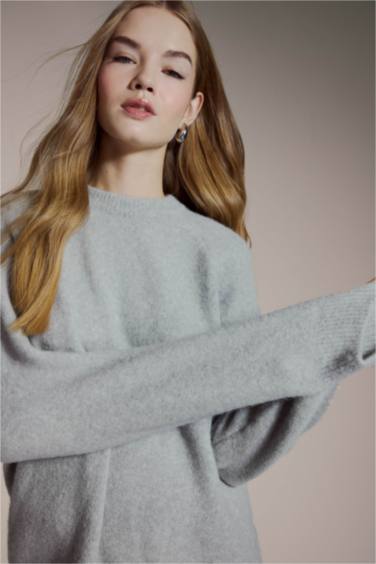 Regular Fit Crew Neck Knit pullover