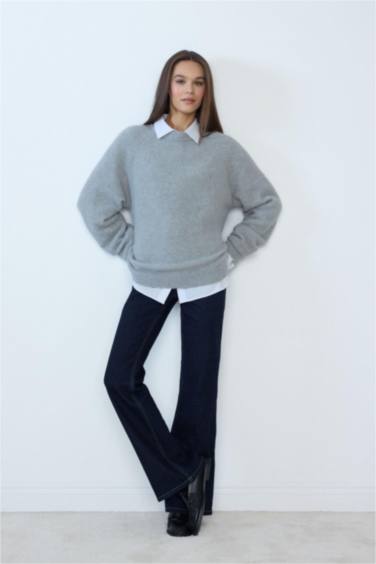 Regular Fit Crew Neck Knit pullover