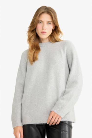 Regular Fit Crew Neck Knit pullover