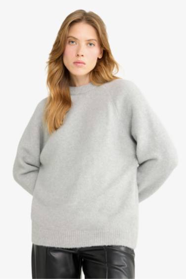 Regular Fit Crew Neck Knit pullover