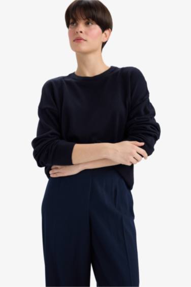 Regular Fit Crew Neck Knitwear Pullover