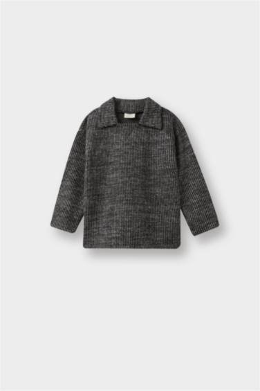 Baby Boy Regular Fit Shirt Collar Knitwear Sweatshirt