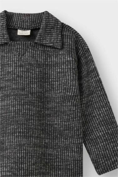 Baby Boy Regular Fit Shirt Collar Knitwear Sweatshirt