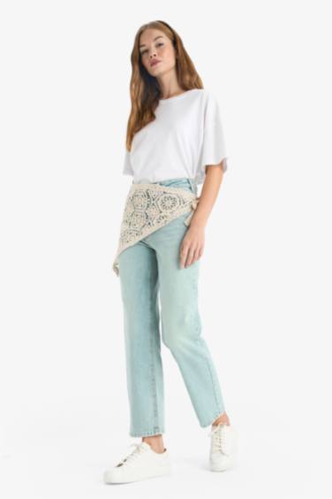 Comfort Straight Regular Waist Embroidered Ankle Length Jeans