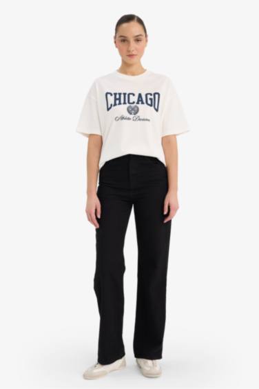 Oversize кең пішімді дөңгелек жағалы суретті қысқа жеңді футболка