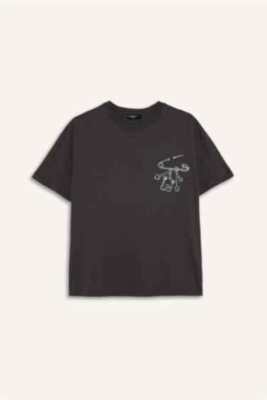 Oversize кең пішімді суретті қысқа жеңді футболка