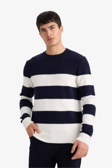 Pull tricot à col rond Coupe standard