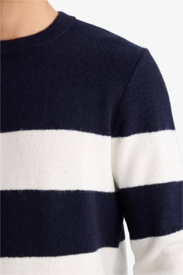 Pull tricot à col rond Coupe standard