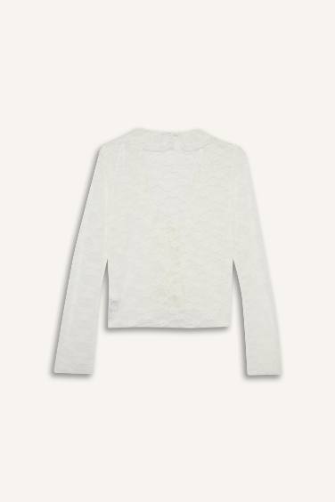 Fitted V-Neck Lace Long Sleeve Blouse