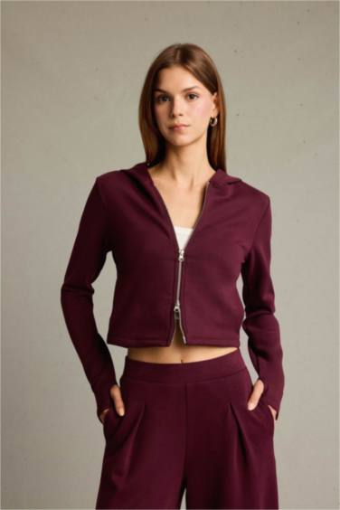 Kapüşonlu Fermuarlı Modal Hırka